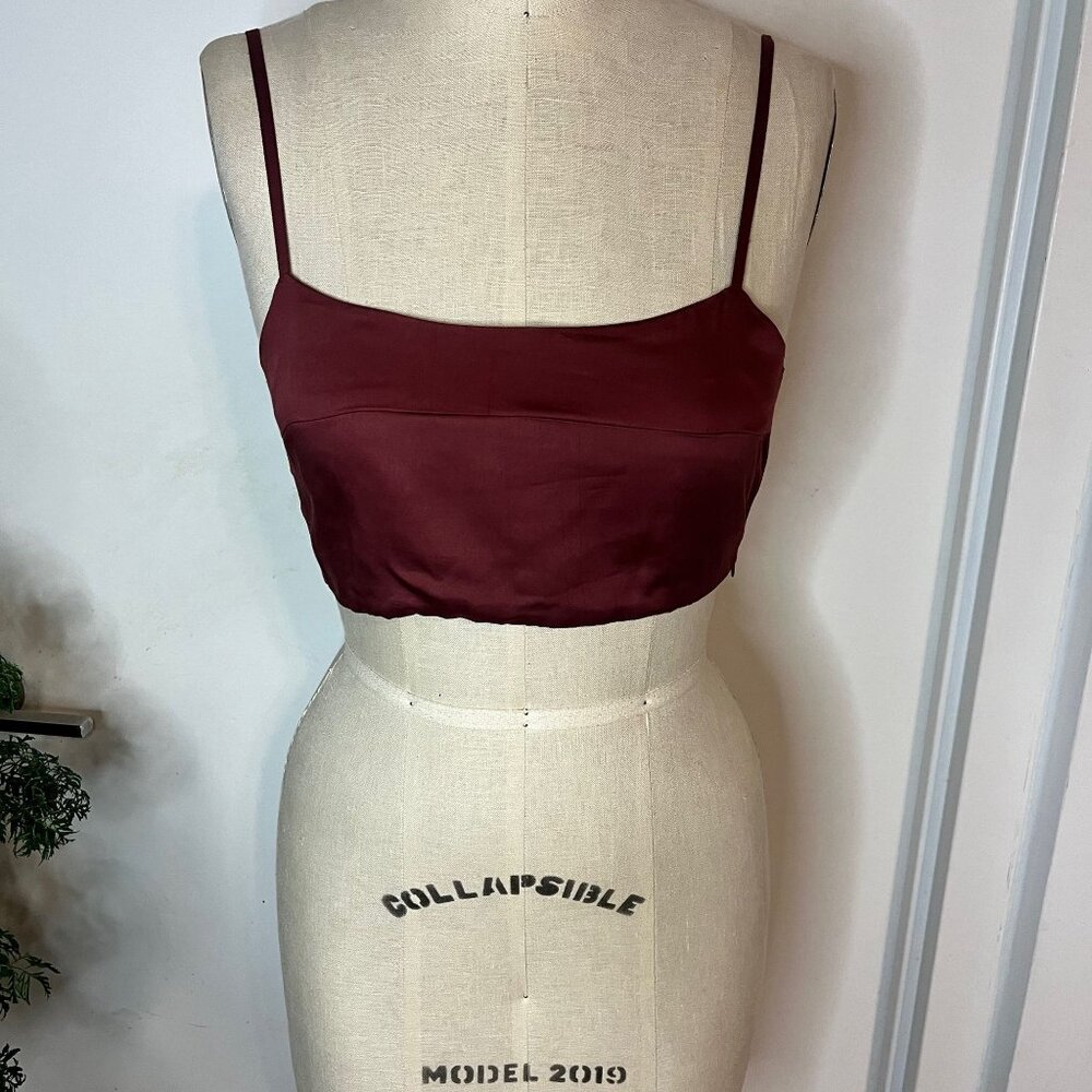 SANI Burgundy Crop Top Size Small